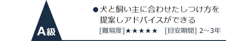 資格について 日本ドッグトレーナー協会認定 アニマルプラザ ドッグトレーナーズカレッジ オンライン講座