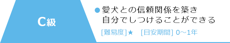 資格について 日本ドッグトレーナー協会認定 アニマルプラザ ドッグトレーナーズカレッジ オンライン講座